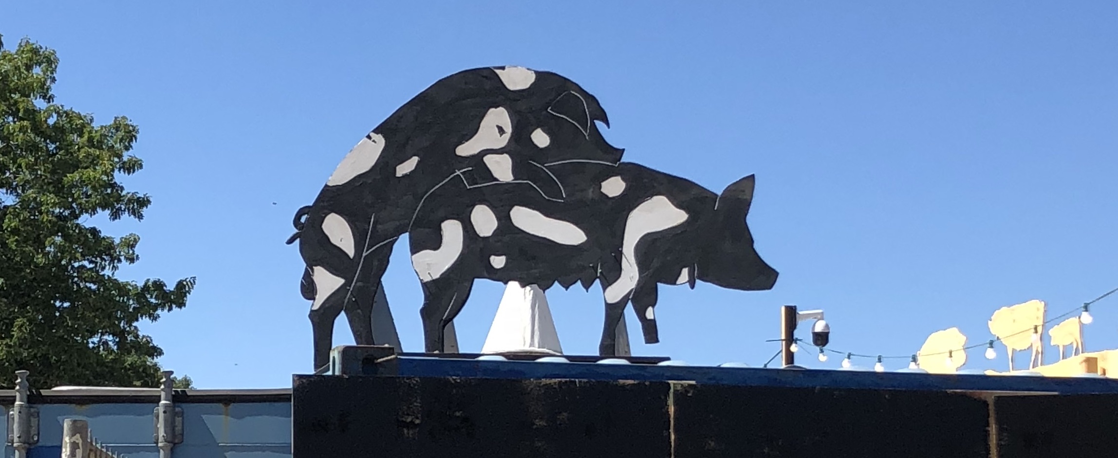 VIL DU MED BIRTHESMINDE PÅ ROSKILDE FESTIVAL?