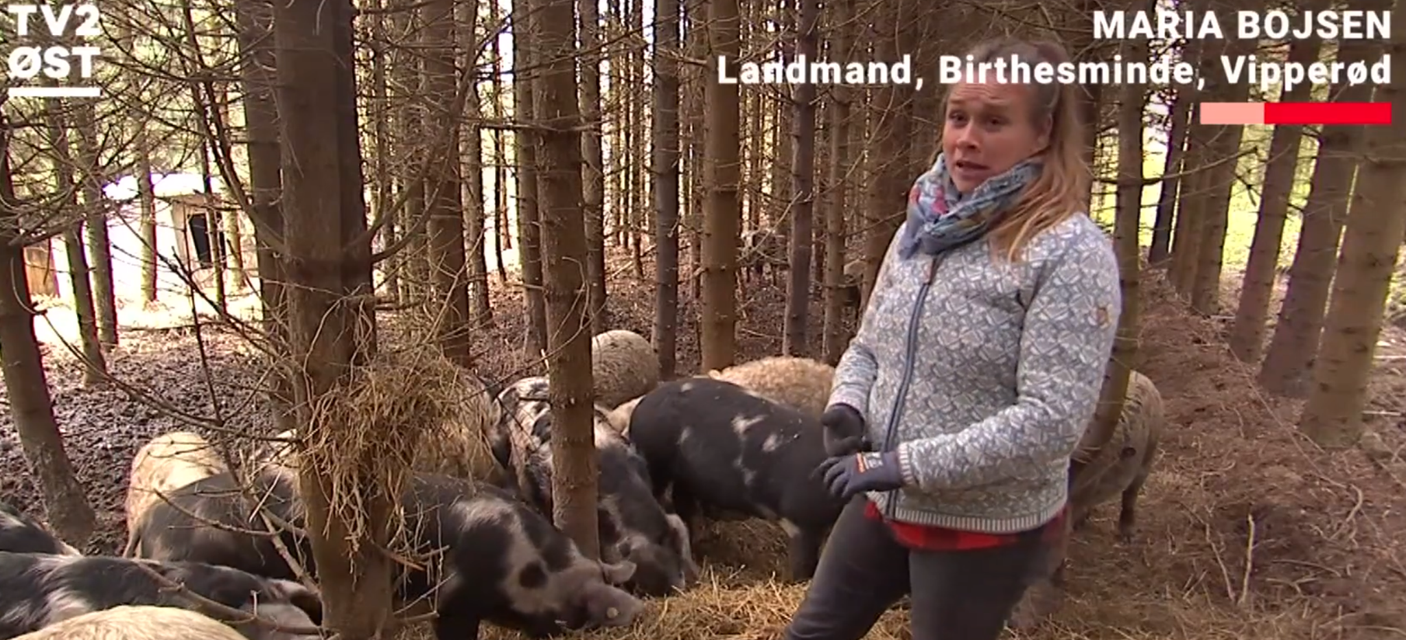 Storbønder får baghjul