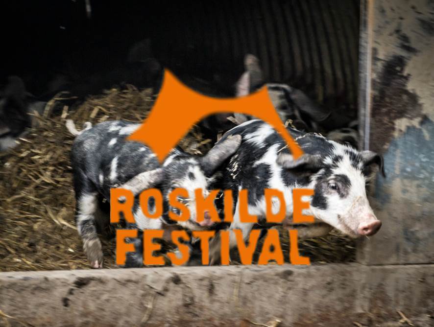 Birthesminde vil lave Cirkulære samarbejder på året Roskildefestival