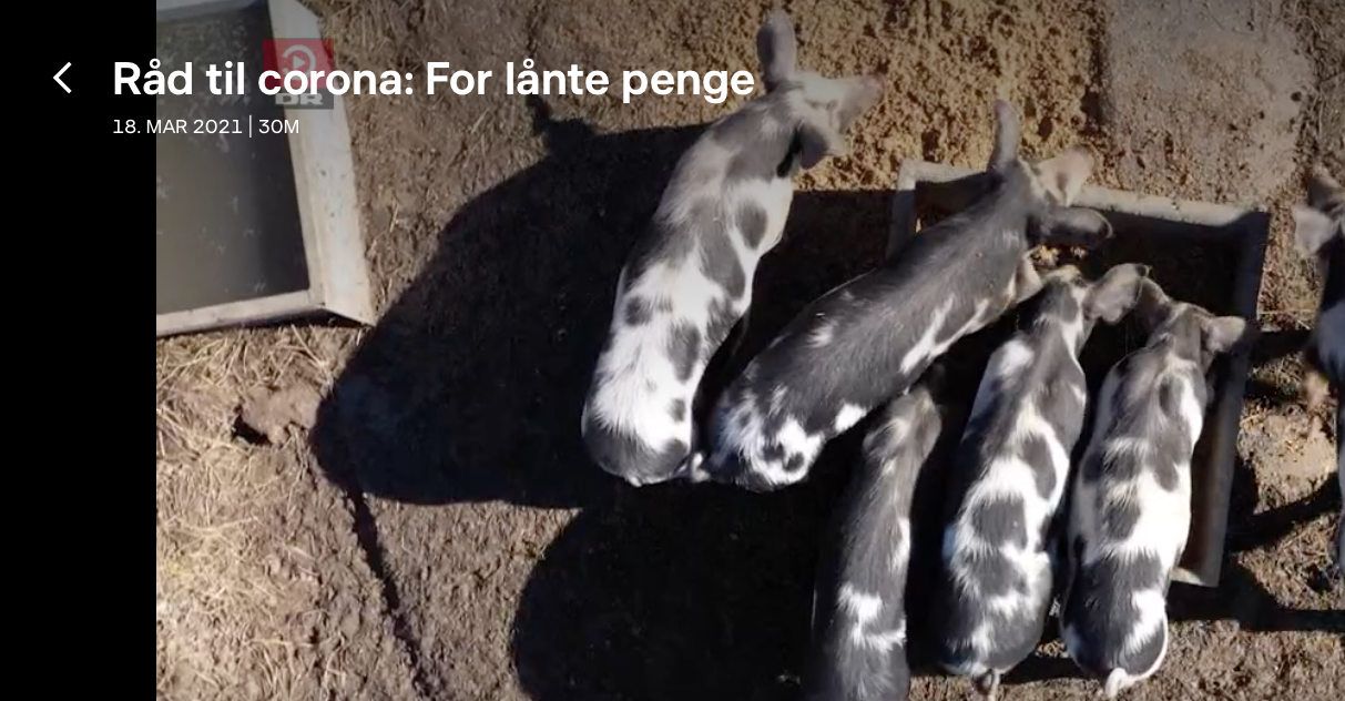 DR1 og "RÅD TIL CORONA" på besøg på Birthesminde