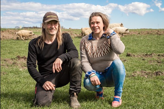 økologisk landmand, slagter og grisemor