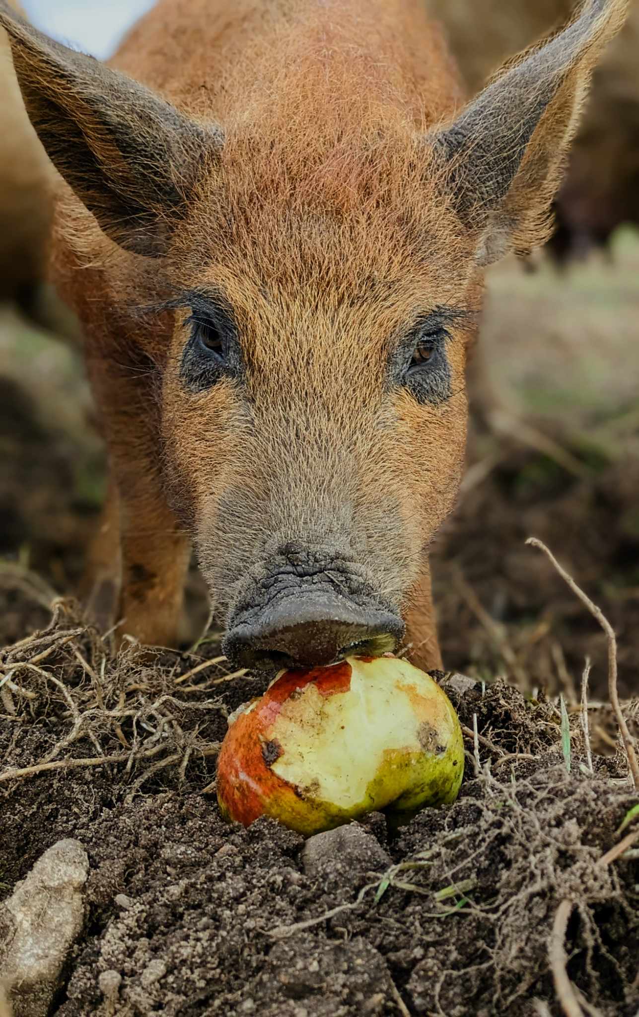 387567239 877037213916032 812886126708309842 N