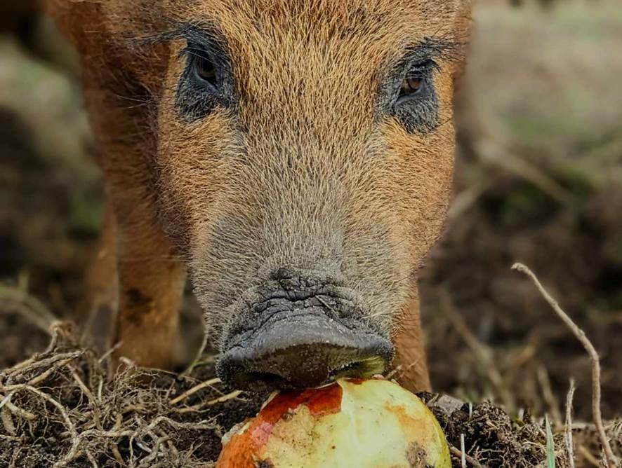 387567239 877037213916032 812886126708309842 N